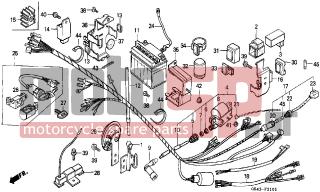 HONDA - C50 (GR) 1992 - Electrical - WIRE HARNESS/BATTERY (C50LAG/G/J/N/SN) - 95014-61300- - BAND A3, WIRE