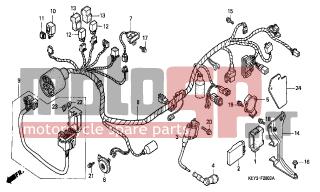 HONDA - FES125 (ED) 2000 - Electrical - WIRE HARNESS - 93404-0601207 - BOLT-WASHER, 6X12