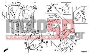 HONDA - CBR600RR (ED) 2004 - Body Parts - LOWER COWL - 64318-MEE-300 - MAT A, R. MIDDLE COWL