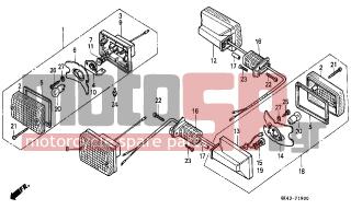 HONDA - C50 (GR) 1988 - Electrical - WINKER (C50DF/G/DG/SN) - 33410-GB0-911 - CORD COMP., R. WINKER