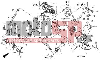 HONDA - FJS400D (ED) Silver Wing 2006 - Engine/Transmission - WATER PUMP - 19220-MCT-000 - COVER COMP., WATER PUMP