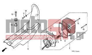 HONDA - Z50J (FI) 1993 - Electrical - TAILLIGHT (1) - 33709-074-671 - PACKING, TAILLIGHT LENS