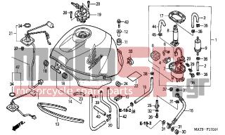 HONDA - CBR1100XX (ED) 1999 - Body Parts - FUEL TANK (X/Y/1/2/3/4) - 16717-MAT-D00 - BAND B