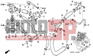 HONDA - VFR800 (ED) 2006 - Engine/Transmission - WATER HOSE - 19522-MW4-000 - JOINT A, WATER