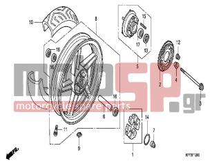 HONDA - CBF250 (ED) 2004 - Frame - REAR WHEEL