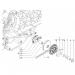 PIAGGIO - LIBERTY 125 4T 2V E3 2012 - Κινητήρας/Κιβώτιο Ταχυτήτωνdriving pulley